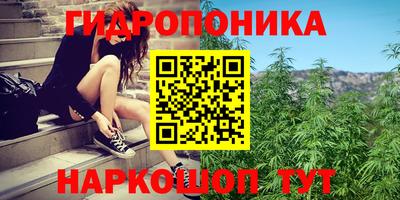 ПСИЛОЦИБИНОВЫЕ ГРИБЫ Комсомольск-на-Амуре