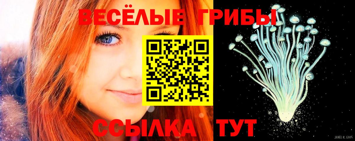 Псилоцибиновые грибы MAGIC MUSHROOMS  Вход с VPN  Фрязино 